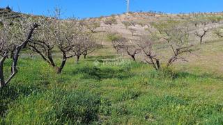 Finca rústica a Gójar. Terrenos en venta en gójar