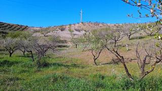 Finca rústica a Gójar. Terrenos en venta en gójar