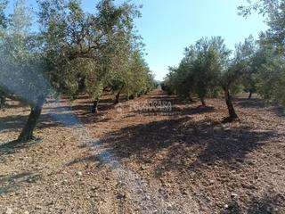 Finca rústica a Gójar. Terrenos en venta en gójar