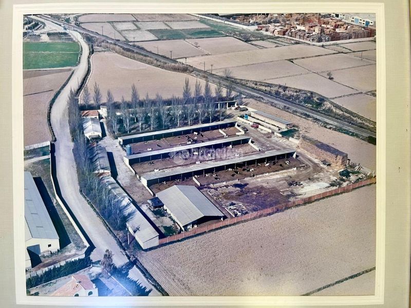 Foto 558b876c-8b8c-4ea9-821d-e9b7c2a97259. Finca rústica a Cartuja Baja Zaragoza