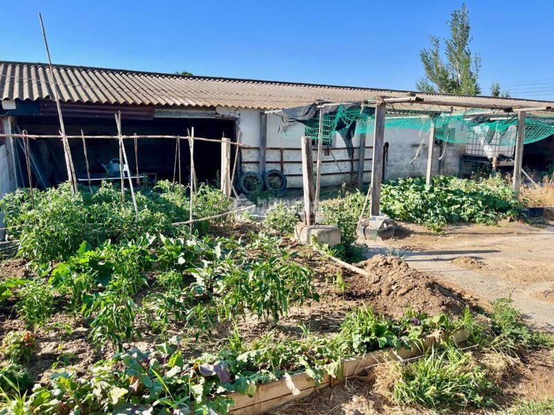 Foto 7a777b3a-cd0a-402e-a2d1-3197c21a293e. Finca rústica a Cartuja Baja Zaragoza