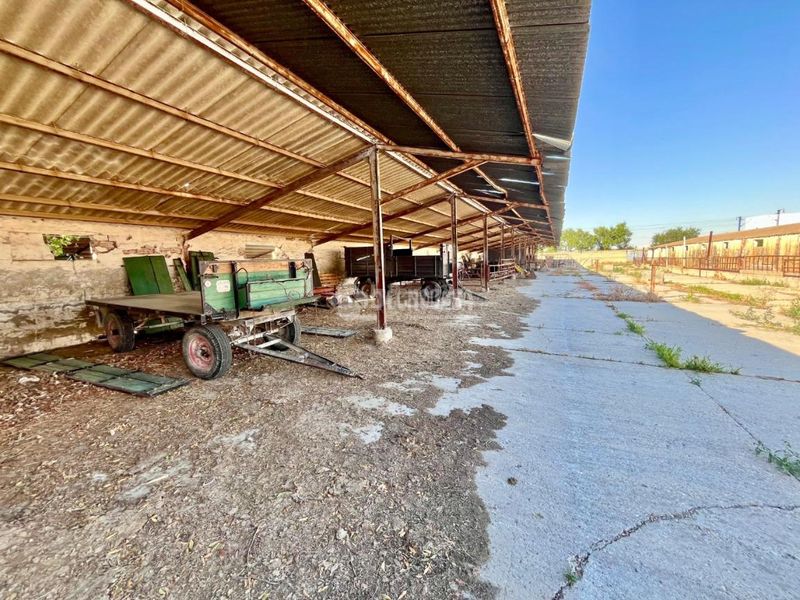 Foto 95c561ae-bb50-4bd0-8ddc-cda158d98407. Finca rústica a Cartuja Baja Zaragoza