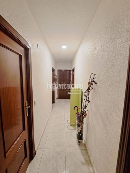Foto 959cbb85-129c-4dfd-8223-b63884a999a7. Pis a Reyes Parla