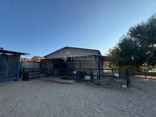 Finca rústica en Mejorada del Campo. Terrenos en venta en mejorada del campo