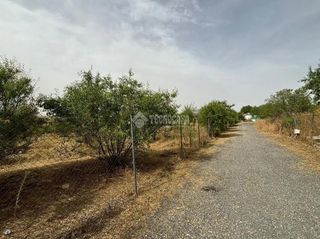 Fondo rustico in Mejorada del Campo. Terrenos en venta en mejorada del campo