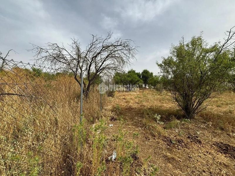 Foto 5bc31632-e542-41c3-81e8-111aaf07bd9f. Finca rústica a Mejorada del Campo
