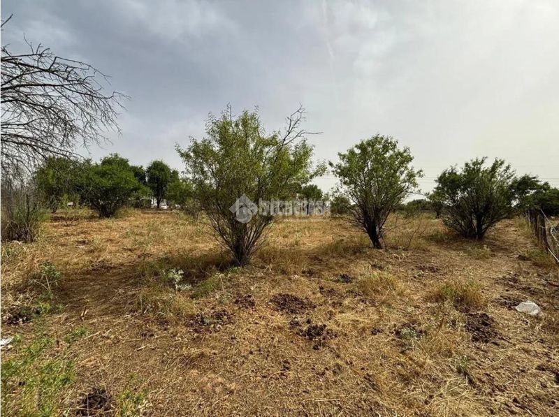 Foto 5fe9b363-a3e4-41db-a9ab-31a746b68724. Finca rústica a Mejorada del Campo