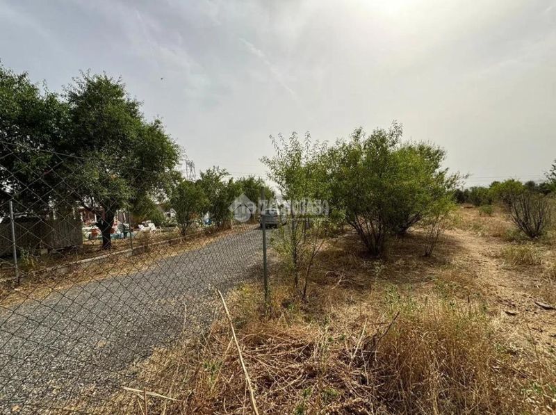 Foto f9d676dc-d18b-4ff6-af9d-d884b7259898. Finca rústica a Mejorada del Campo