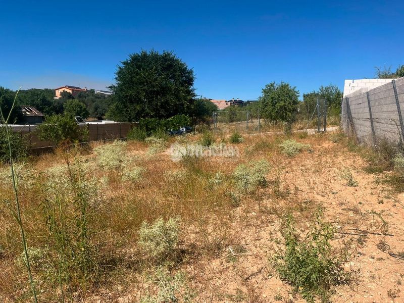 Foto c5220982-3390-456b-9eef-e7462b293159. Finca rústica a Mejorada del Campo