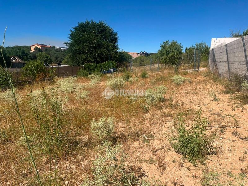 Foto f384d06d-c59a-4a62-9421-73b186954ede. Finca rústica a Mejorada del Campo