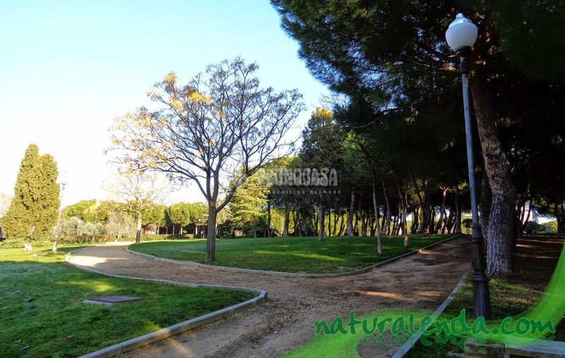Foto d7570868-0c17-482e-8a0e-652c20fb3962. Aparcament cotxe a Norte-Universidad Móstoles