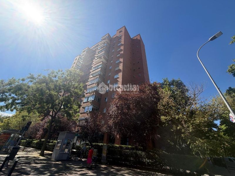 Foto a532486d-54a7-42e9-b959-fee83c0eb390. Pis a Palomeras Sureste Madrid
