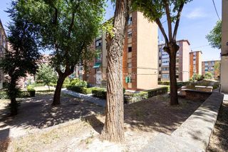 Pis a Tres Olivos-Valverde