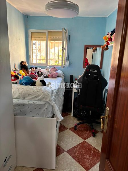 Foto 07d3f112-88e8-4816-9bb0-3a3cf4ebc7ab. Pis a San Pablo Sevilla