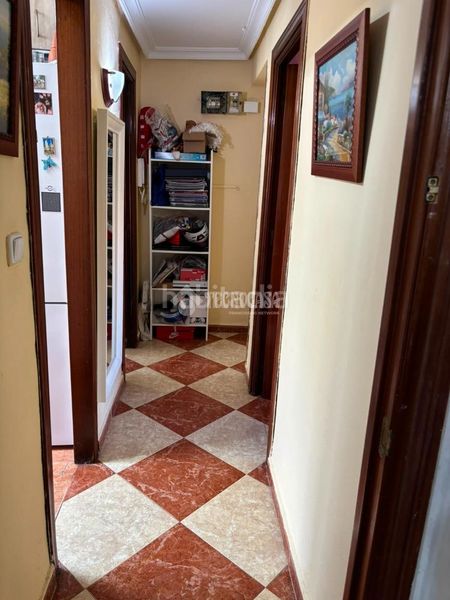 Foto 306884dd-6160-41db-ab60-42372604030f. Pis a San Pablo Sevilla