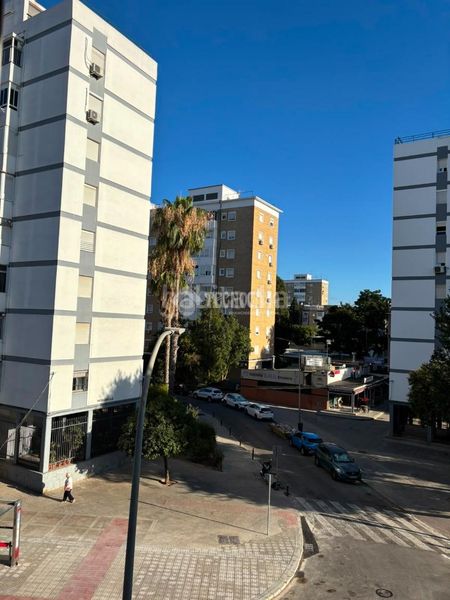 Foto ea3af857-6b44-4dde-bc6b-bca17540417d. Pis a San Pablo Sevilla
