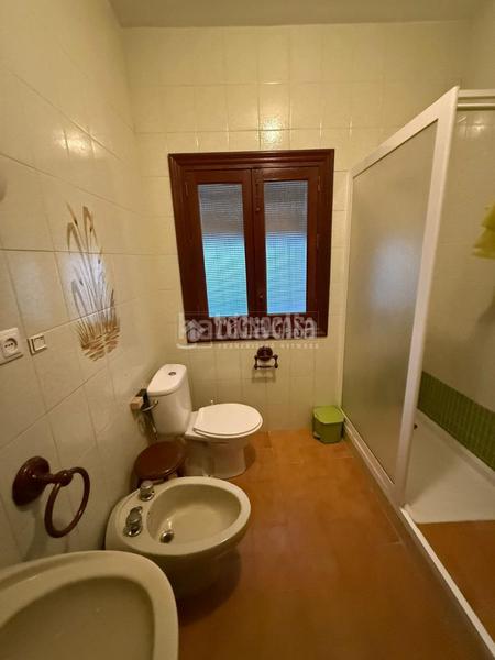 Foto 45affc49-3f90-4a63-b967-777bf807635e. Pis a Alcolea del Río