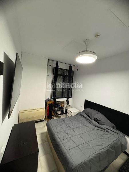 Foto 2c3c1c52-0a86-470d-8650-211188700ca8. Pis a Bellavista Sevilla