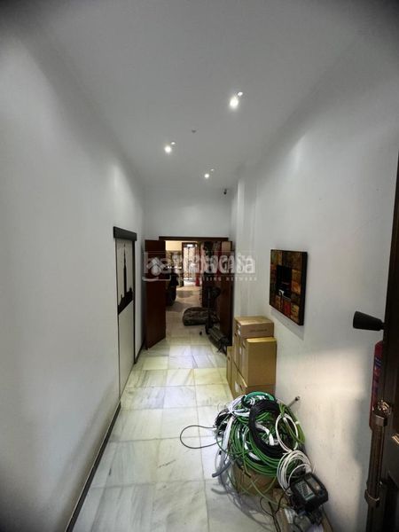 Foto ce4c3131-1c88-48e1-bcb4-d83c10d4957e. Pis a Bellavista Sevilla