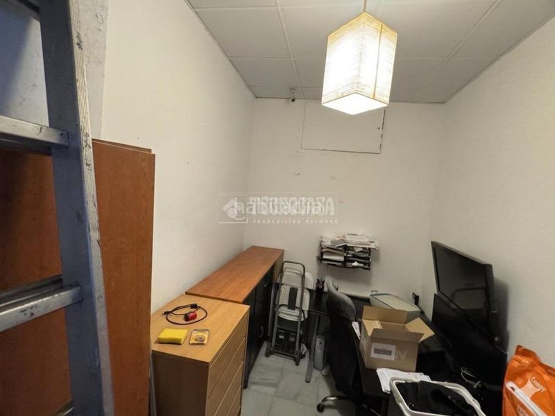 Foto dfe4f5a9-418c-4623-9f68-34a18c81a403. Pis a Bellavista Sevilla