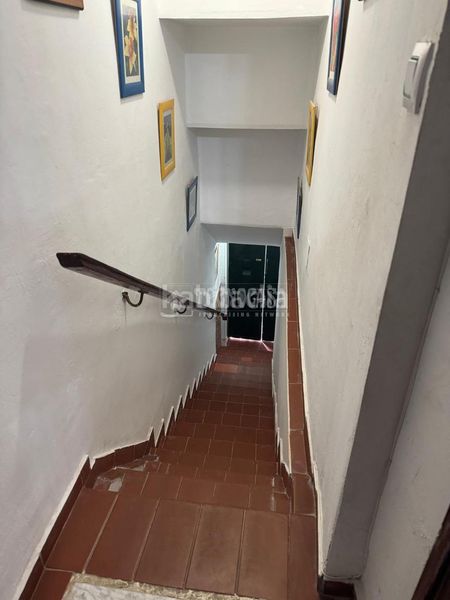 Foto a0a72e11-c30d-4ac8-b6fa-aba70d1d97fa. Pis a Bellavista Sevilla