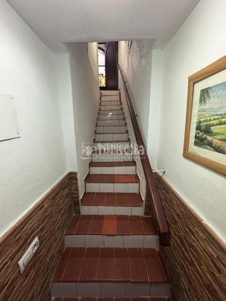 Foto d99a8036-08fe-4c82-a7f2-86ebd122674c. Pis a Bellavista Sevilla