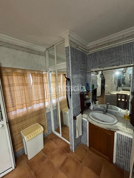 Foto f1e5f3ce-ad9f-4e72-9b3a-32b04c3ce7f6. Pis a Bellavista Sevilla