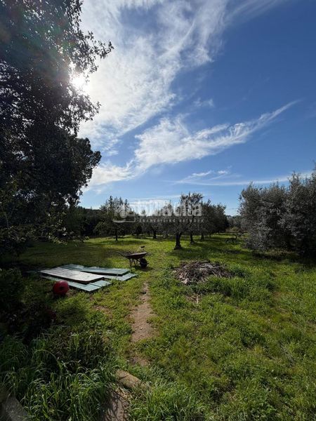 Foto 81d9d4da-ad85-4d74-9505-508170b52663. Masia amb calefacció a Torre Cruz - Los Molinos Utrera