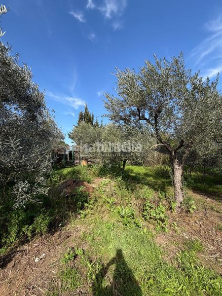 Foto 878b6789-dd0c-4529-b3a9-48b16f9e1f70. Masia amb calefacció a Torre Cruz - Los Molinos Utrera