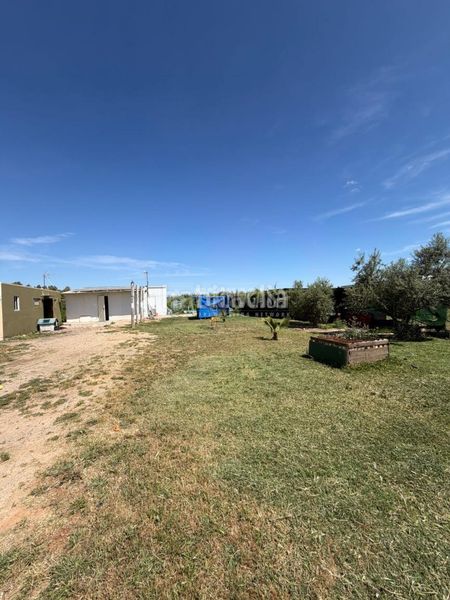 Foto 972eeb90-9fc1-4a73-a504-ad3472b79861. Finca rústica a Molares (Los)