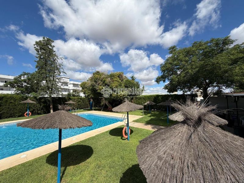 Foto a1334604-b0a2-43b5-b406-b6647d71312c. Casa aparellada amb piscina a Torre Cruz - Los Molinos Utrera