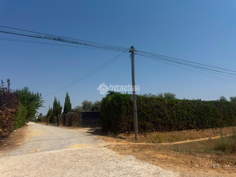 Foto 213b212d-493e-4379-bf08-e9e5c67b1d8c. Finca rústica a Pedanías Norte Utrera