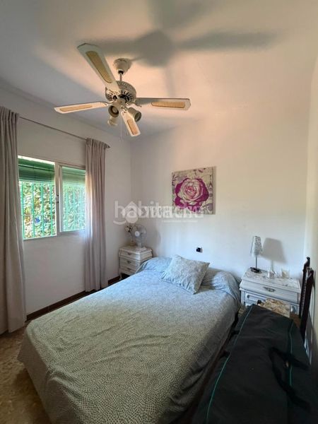 Foto a9e10397-a9e8-4f81-95a0-eb1206642c98. Finca rústica a Pedanías Norte Utrera