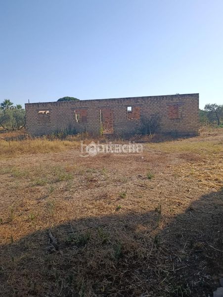 Foto 438bb6c0-6de4-4043-9383-b3cc312fc626. Finca rústica terrenos en venta en Pedanías Norte Utrera