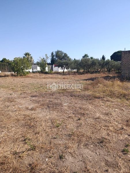 Foto 56b4c8cf-821d-40c6-9835-5491c68cf2bb. Finca rústica terrenos en venta en Pedanías Norte Utrera