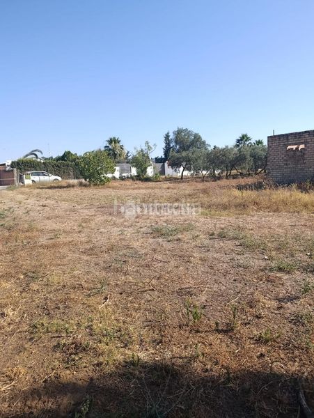 Foto 6a2f00b4-d614-4b08-9bce-bae8ca6d19ce. Finca rústica terrenos en venta en Pedanías Norte Utrera