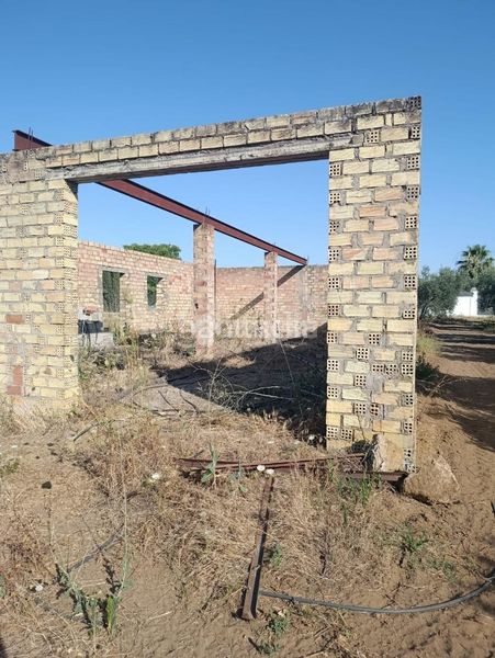 Foto a9895c3c-c109-46dd-98e6-ba03dea18732. Finca rústica terrenos en venta en Pedanías Norte Utrera