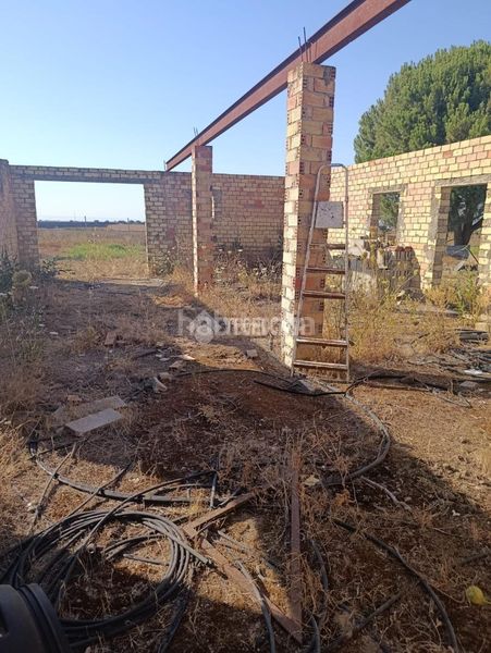 Foto c1e283b5-5f56-47a2-ae5a-fd0329726727. Finca rústica terrenos en venta en Pedanías Norte Utrera