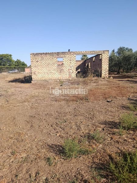 Foto e8e2e0f9-e94f-4a05-9d82-03c7f1406db3. Finca rústica terrenos en venta en Pedanías Norte Utrera