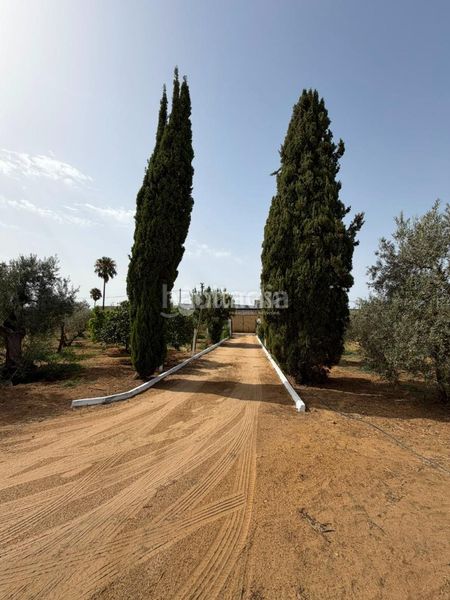 Foto a8586f53-c7e3-4507-8a2e-5e95b4b43916. Masia a Pedanías Norte Utrera
