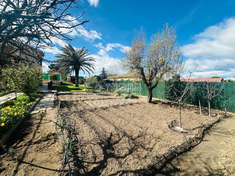 Foto 12b4a0d7-0b56-4a05-a204-b89681665194. Casa amb calefacció piscina a Escalona