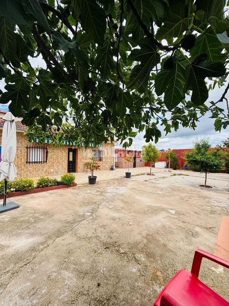 Foto cdfc780e-a40a-4041-8594-cd456e858df5. Casa amb aparcament a Escalona