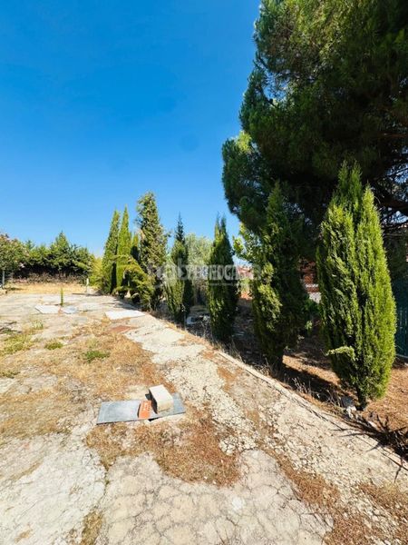 Foto d2f0d925-d270-4865-a87e-e53ebd7bac89. Casa amb aparcament a Escalona