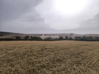 Landgut in Arcos de la Frontera. Terrenos en venta en arcos de la frontera