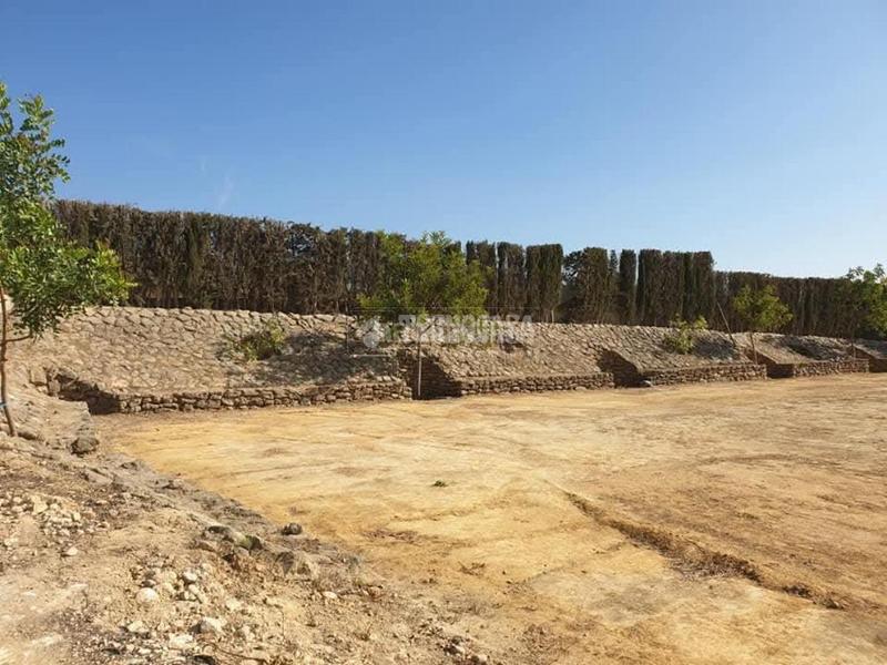 Foto 6ee6c865-dfac-42d2-b752-17dd3c004b20. Finca rústica terrenos en venta en Arcos de la Frontera