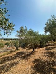 Bauernhof en Arcos de la Frontera. Casa rural en venta en arcos de la frontera