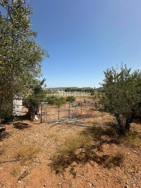 Foto 4aa7c655-b9a2-41c3-9345-f8cc55495489. Masia a Arcos de la Frontera