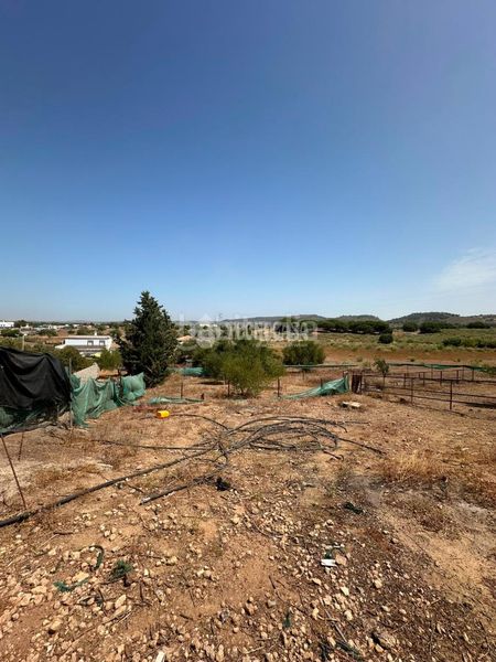 Foto 4b1c0f47-c39c-47ca-a687-bf88184518cc. Masia a Arcos de la Frontera