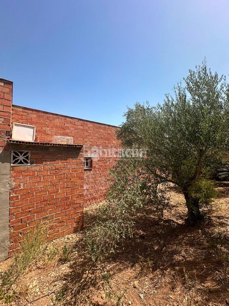 Foto 718b80e9-c697-4756-b9ab-de6cad088f63. Masia a Arcos de la Frontera