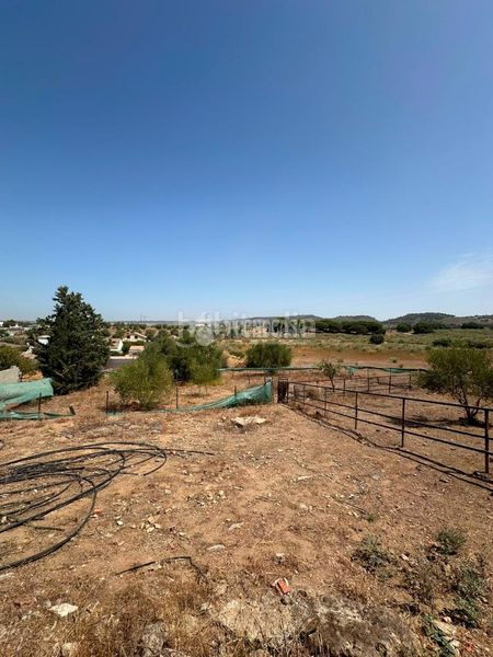 Foto 7d9a5368-265f-4dd6-adb2-5d6000016d42. Masia a Arcos de la Frontera